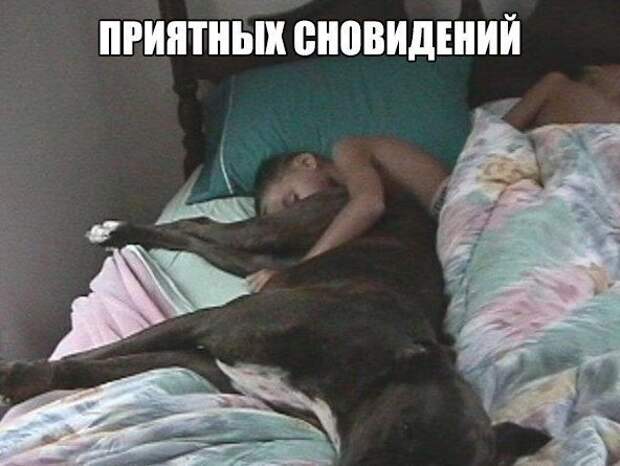 30 фраз в картинках, которые зарядят вас юмором на всю неделю