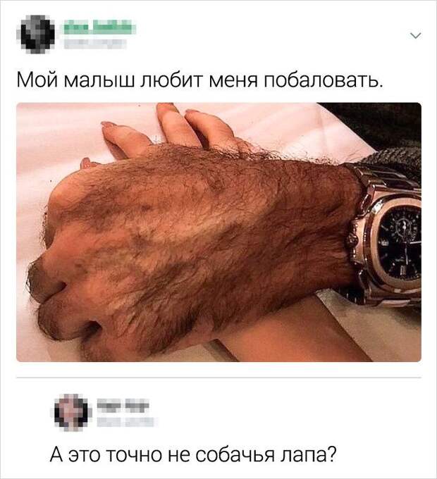 kommentariev-edkih-zabavnyh-citaty-vkontakte-vkontakte-smeshnye-statusy