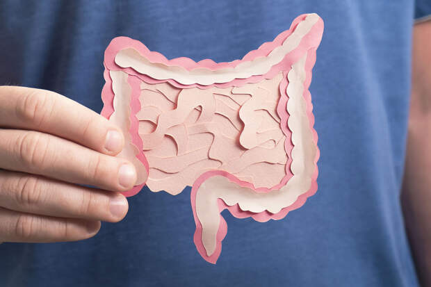 CanDis: стаж курения и возраст сильнее всего влияют на риск рака кишечника