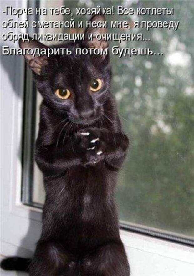 Давайте улыбаться вместе :)