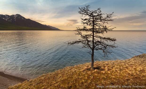 The Magic Of Lake Baikal. Virtual photo exhibition 58