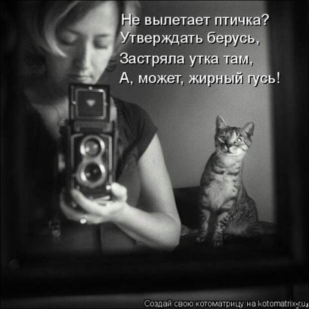 Котоматрица на Бугаге (37 фото)