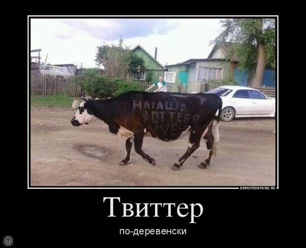 О, горе всем нам! 13