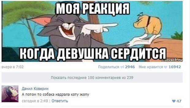 Смешные комментарии из социальных сетей комментарии, прикол, социальная сеть
