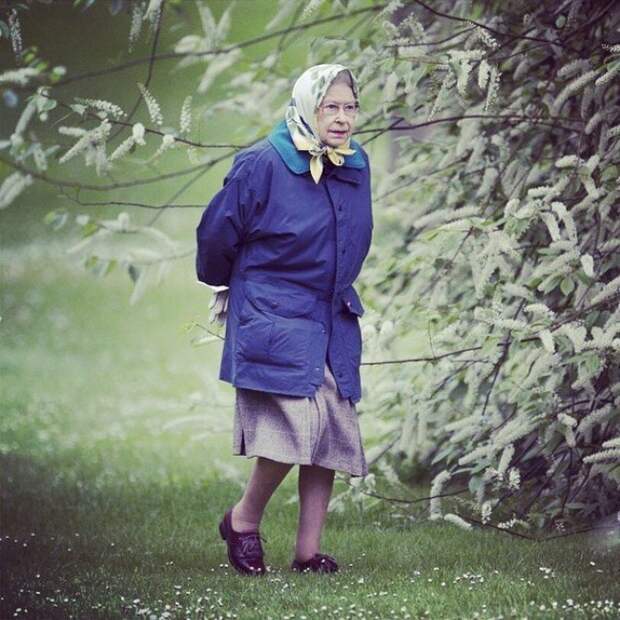 Вот так глянешь — бабуля в магазин идет... А присмотришься — королева Англии... знаменитости, редкие, фото