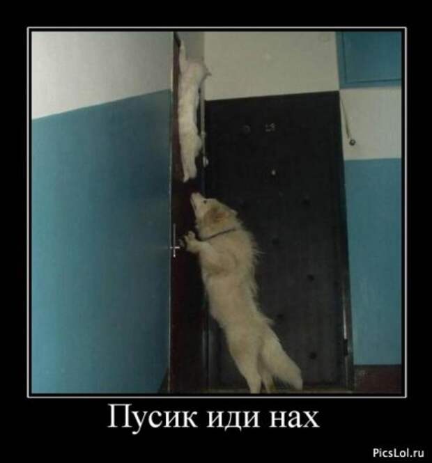 Демотиваторы по русски смешные.