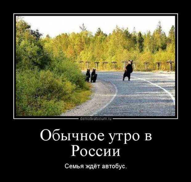 Очередная порция демотиваторов. Лучшие приколюхи Очередная порция демотиваторов. Лучшие приколюхи