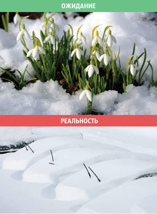 весна, ожидания и реальность
