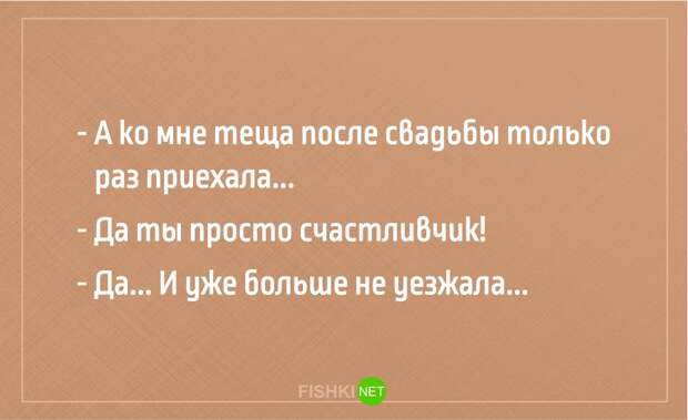 25 анекдотов про тещу Анекдоты, юмор