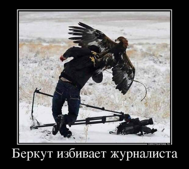 Демотиваторы демотиваторы