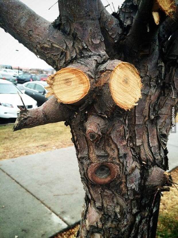 Они следят за тобой