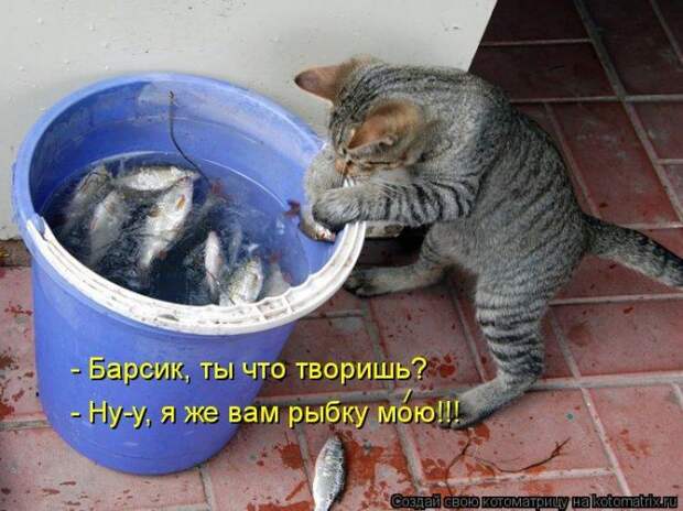 Мысли вслух :)