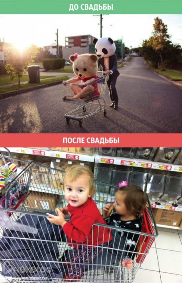Жизнь мужчины после свадьбы (9 фото)