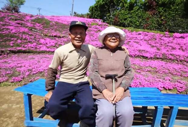 Муж потратил 2 года сажая цветы, цветы для слепой жены