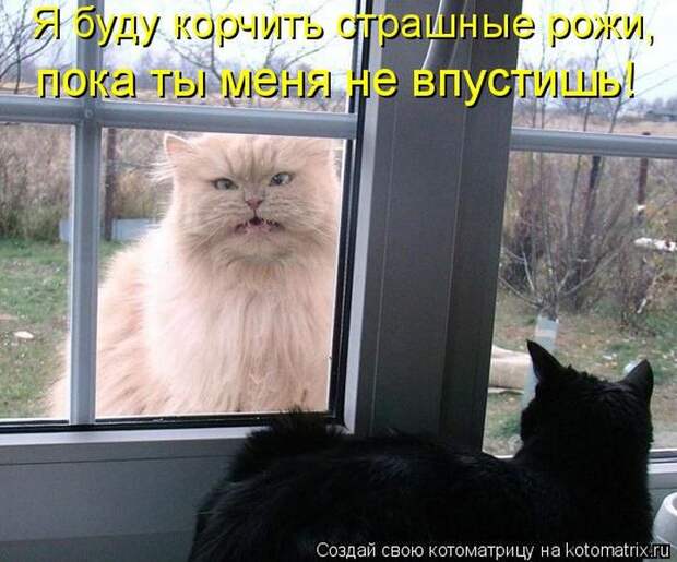 Мысли вслух :)