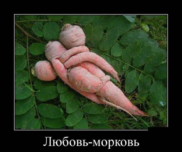 Демотиваторы демотиваторы, прикол, смех, юмор