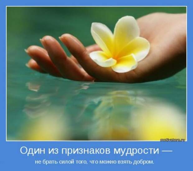 Мотиваторы. Давайте заразимся счастьем!