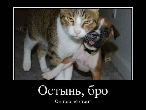 Старые прикольные демотиваторы (60 штук)