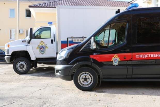 По факту убийства рязанской журналистки возбуждено уголовное дело