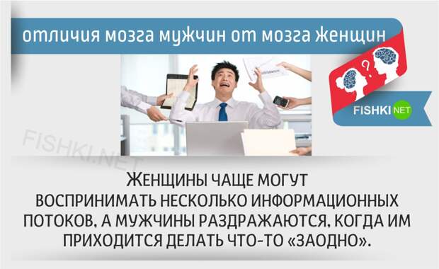 20 отличий мозга мужчин от мозга женщин женщины, мозг, мужчины