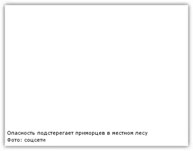 Не обессудь что это значит простыми словами. Обессудь. Не обессудь. Обессудь как пишется.