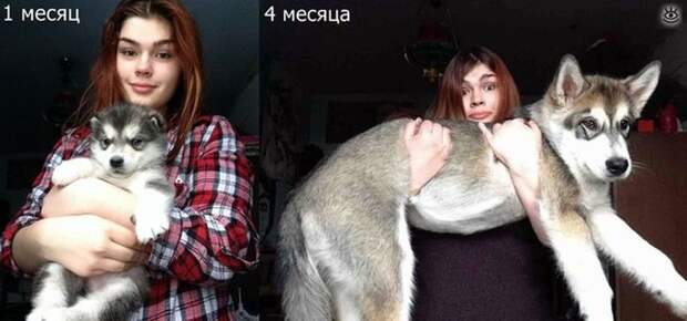 Забавные и позитивные фотки 10