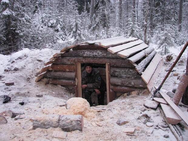 Отпуск в лесу