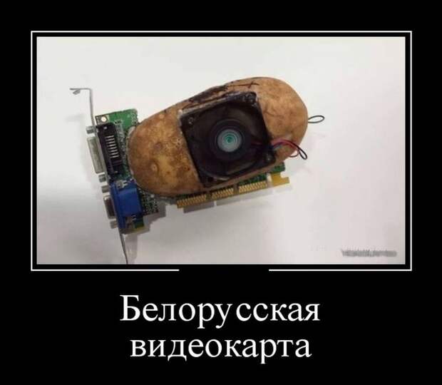 Демотиваторы (30 фото)