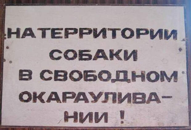 Звучит убедительно: 20 остроумных табличек собака, табличка, юмор