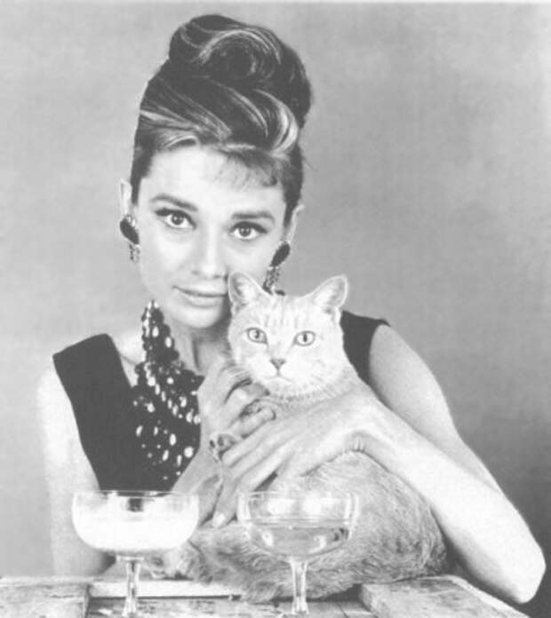 Одри Хепберн и Кот. Фото / Audrey Hepburn and Cat Rhubarb. Photo 
