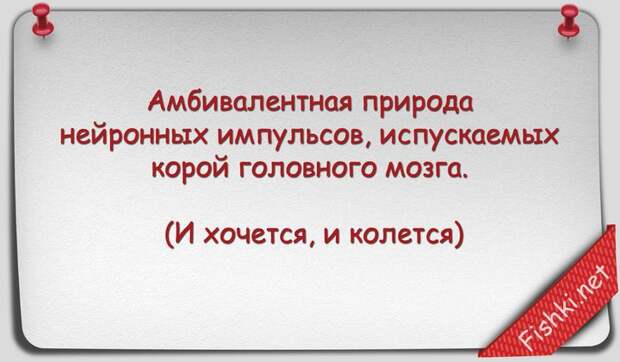 Русские пословицы и поговорки научным языком наука, поговорки, пословицы