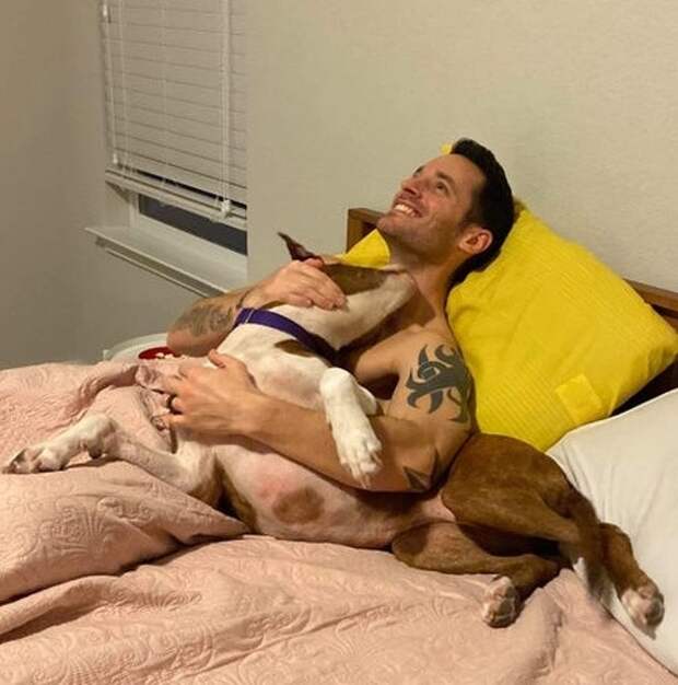 16 мужчин, готовых на все ради питомцев, которых они «никогда не хотели»