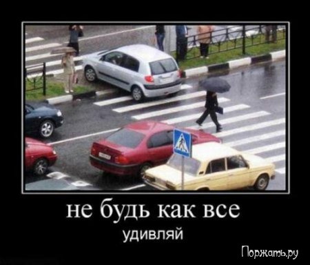 Димативаторы, новые прикольны 25 фото