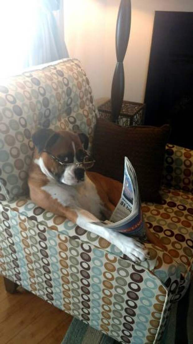 Прикольные картинки