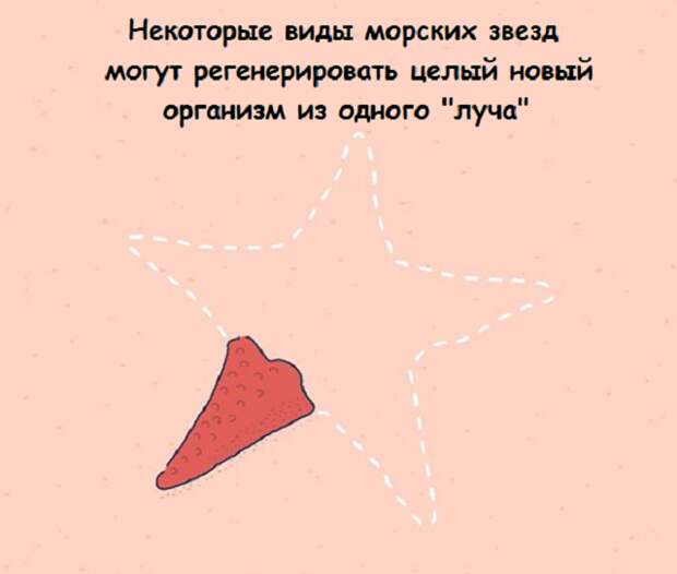 www.vsyako.net