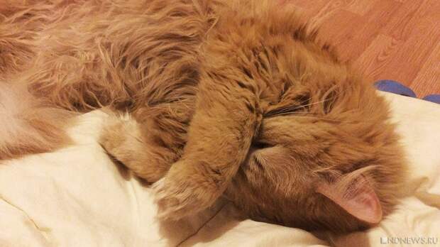 Челябинцы стали чаще жаловаться на холод в квартирах