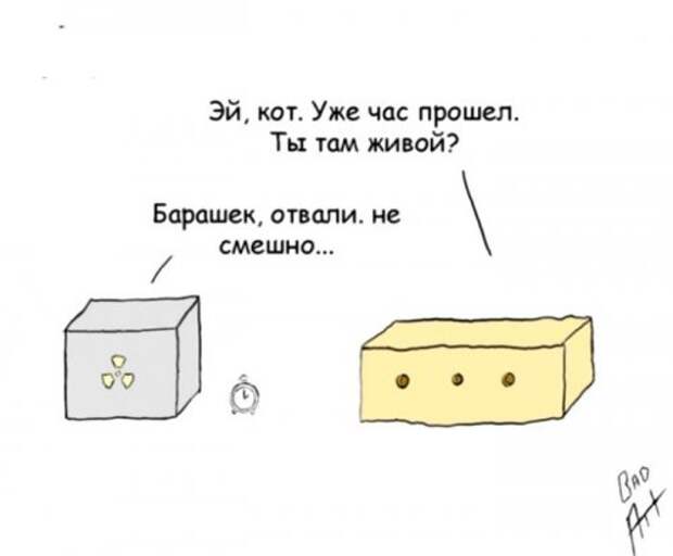 Шутки учёных (11 шт)