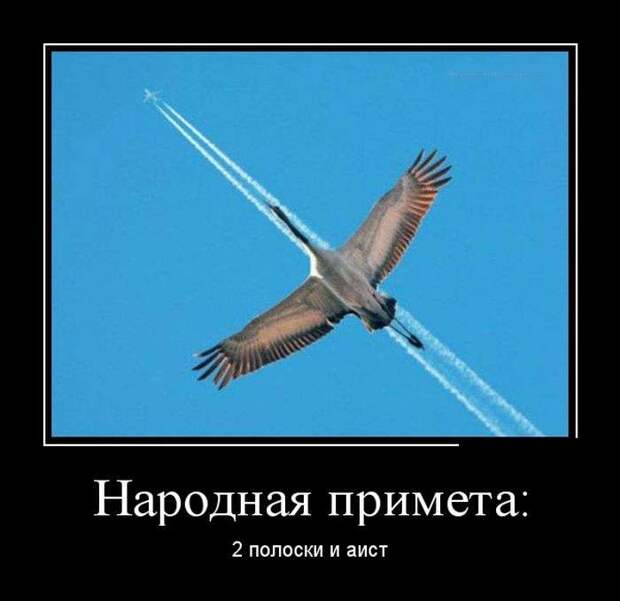 Обалденная демотивация