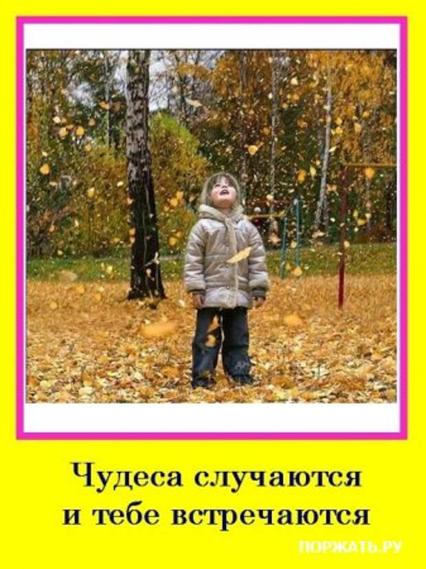 Мотиваторы :)