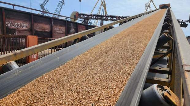 Импорт пшеницы из России в Грузию практически удвоился