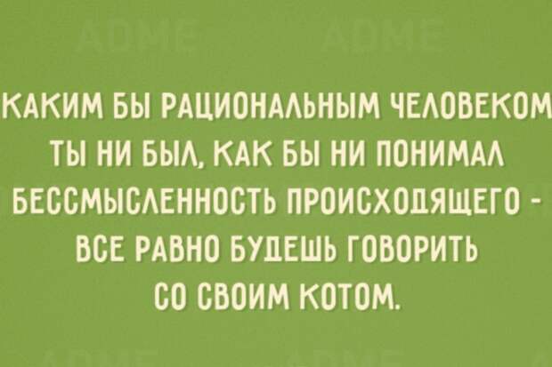 С этим не поспоришь С этим не поспоришь открытки, юмор