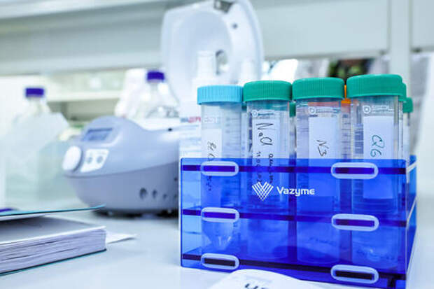 Вирус Нипах: учёные назвали главные симптомы опасной инфекции