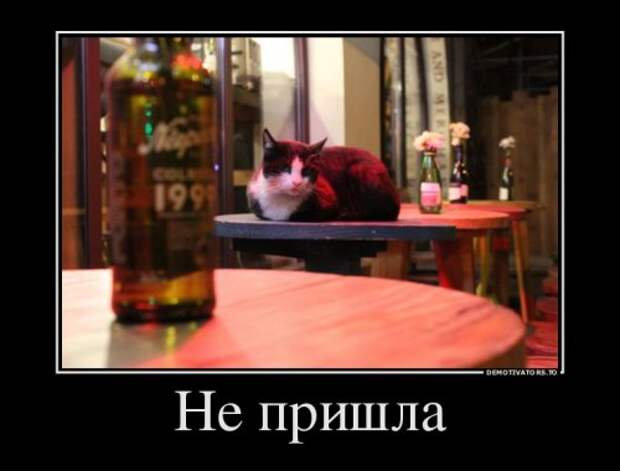 Свежие демотиваторы для всех (18 шт)