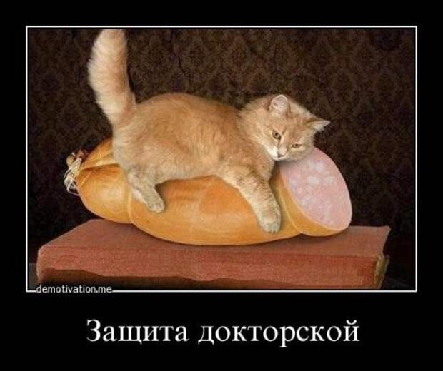 Вечерние прикольные картинки (58 шт)