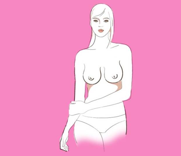 Теперь я знаю всё о женской груди! 7 типов самой соблазнительной части тела.