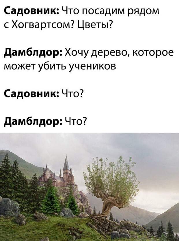 Шутка про Гарри Поттера