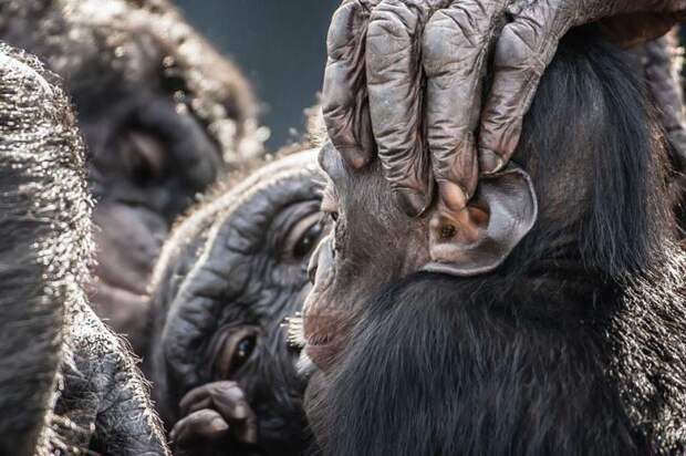 national-geographic-traveler-photo-contest-собрание