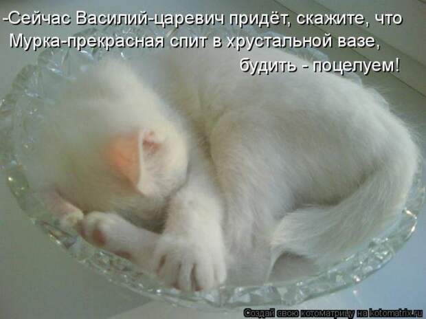 Мысли вслух :)
