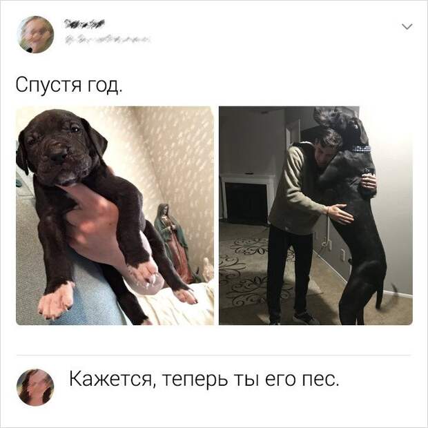 socsetey-kommentariev-sarkastichnyh-citaty-vkontakte-vkontakte-smeshnye-statusy