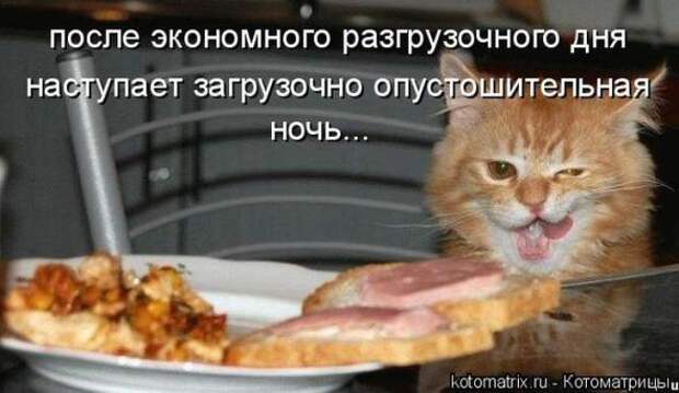 Котоматрицы(картинки с надписями)
